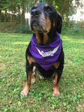 Load image into Gallery viewer, Flying Biscuit purple dog bandanas, 1 dz.
